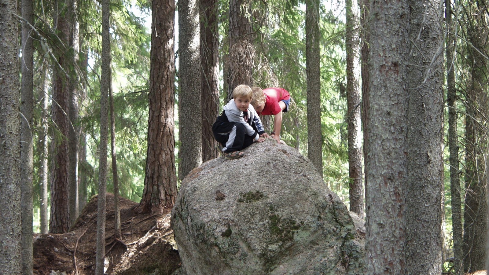 Holiday in Nature