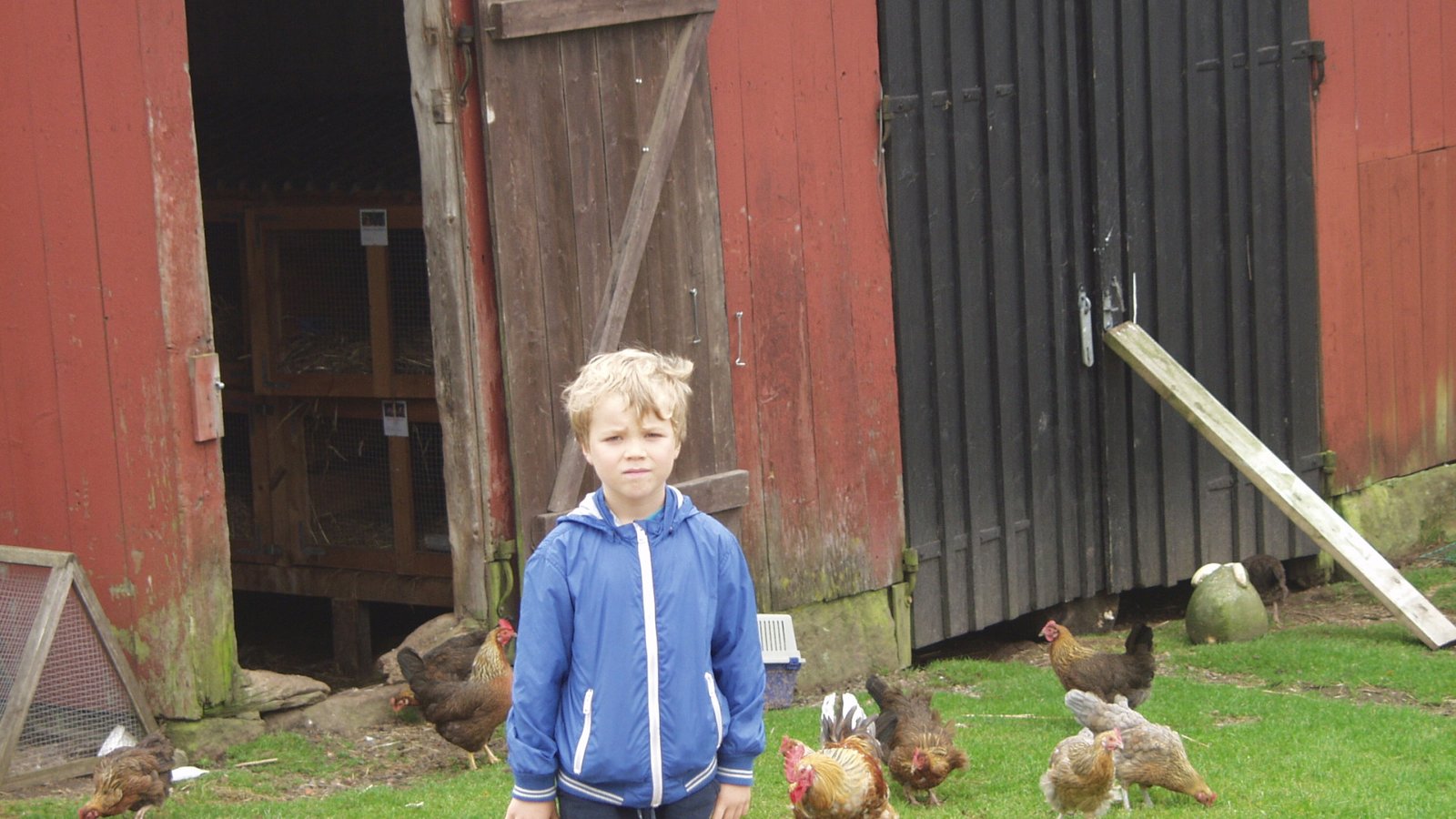 Farm holiday