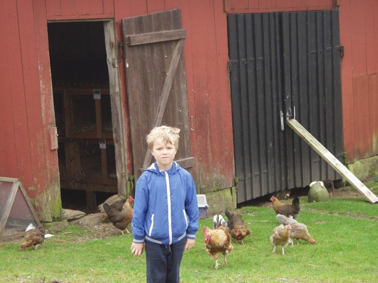 Farm holiday