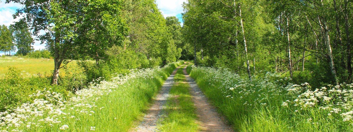 Ccountryside holiday Småland
