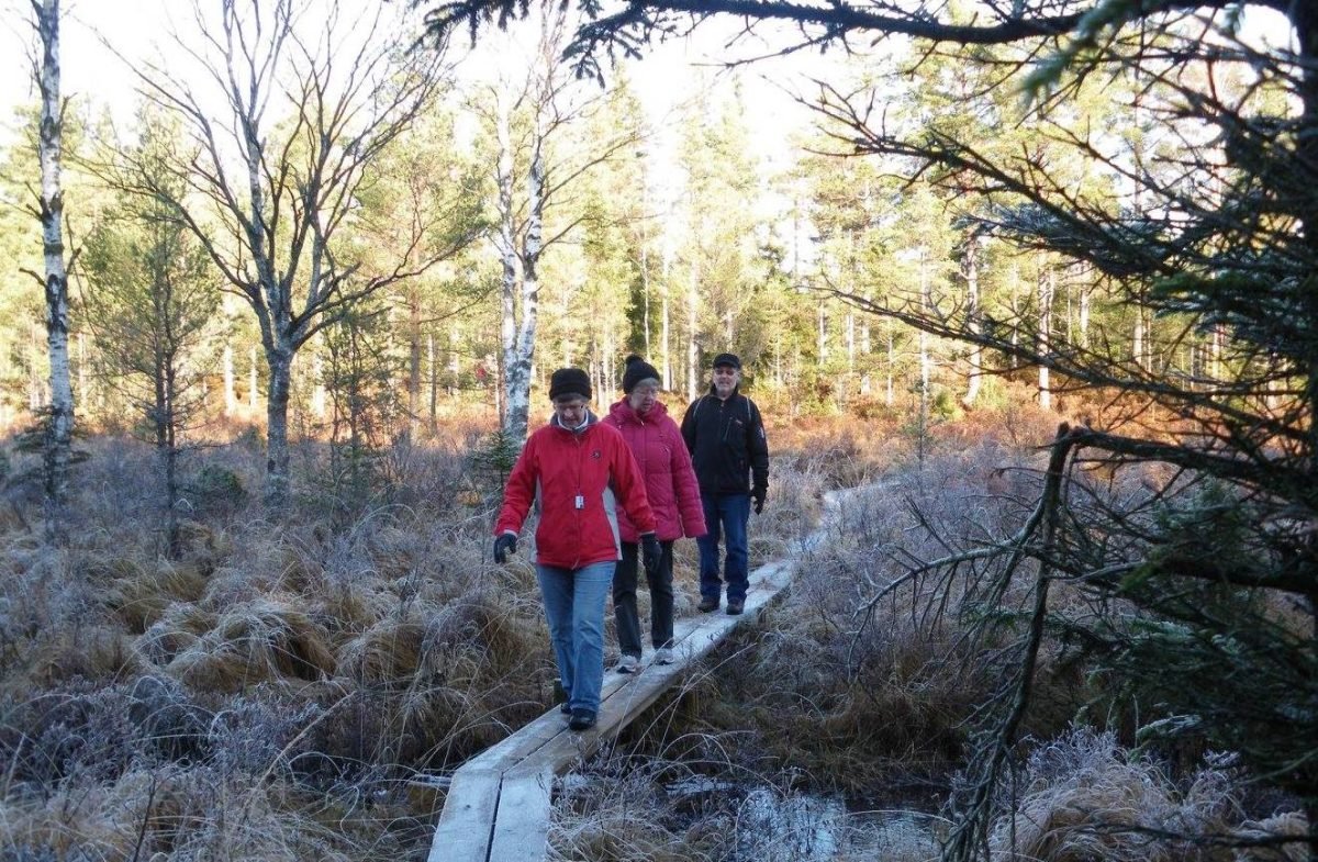 Ice age hiking Målerås