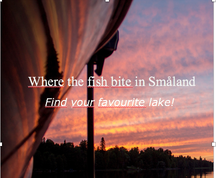 Go where the fish bite