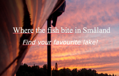 Go Where the fish bite