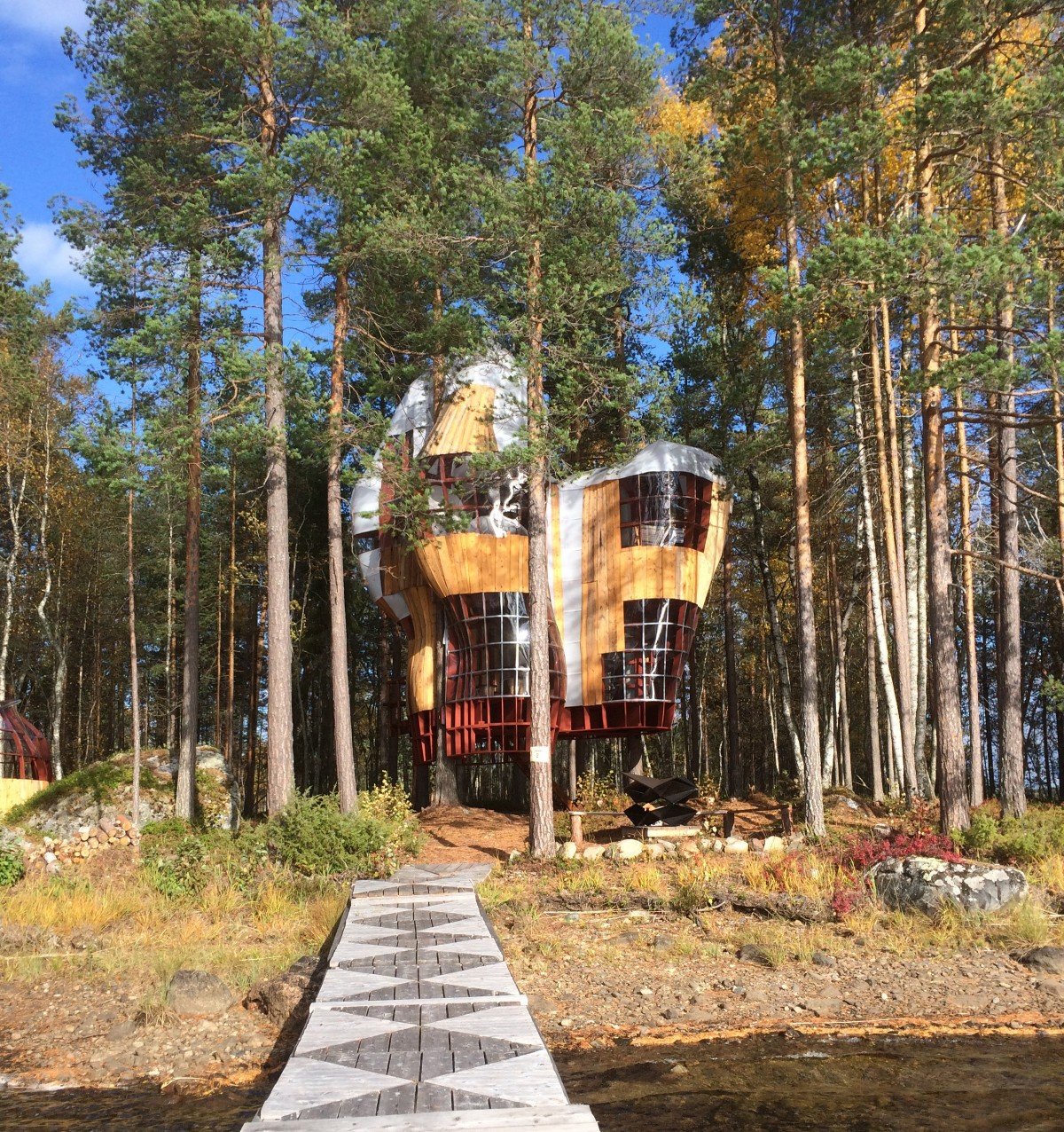 Stay the night in a Tree House