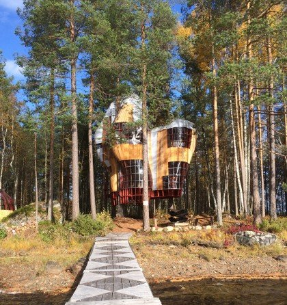 Stay the night in a Tree House