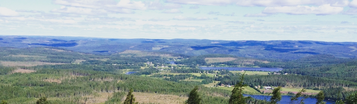 The Geographical Midpoint of Sweden