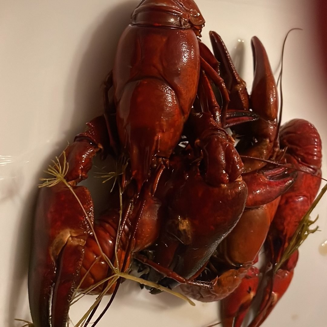 Crayfish from Vättern