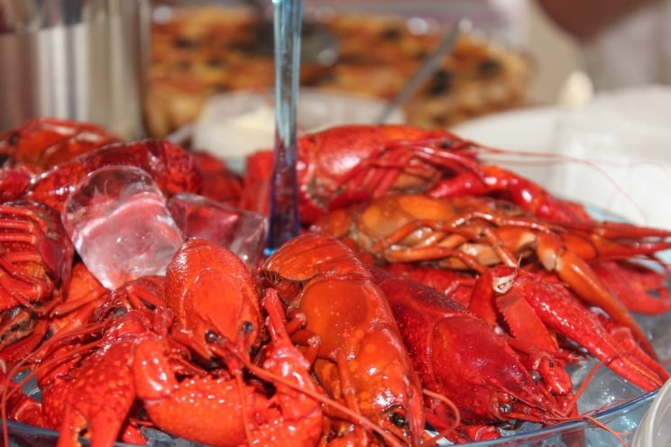 crayfish party feast ice cold crawlfish