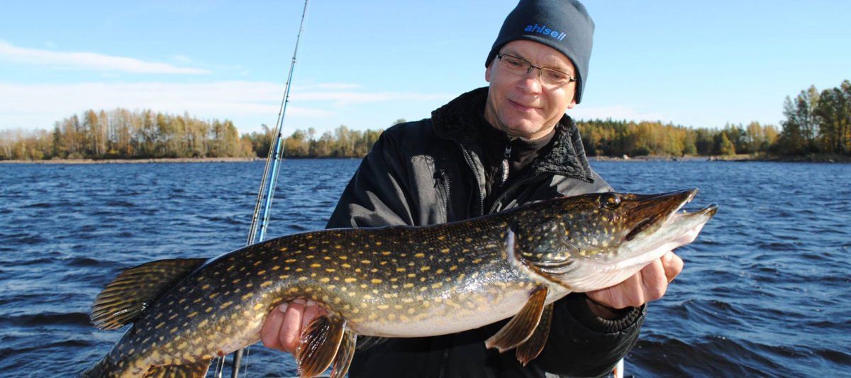 fishing - angeln - fiske vacaciones en Suecia cultura escandinava Familia Amigos viajar autocaravana Pesca en Suecia