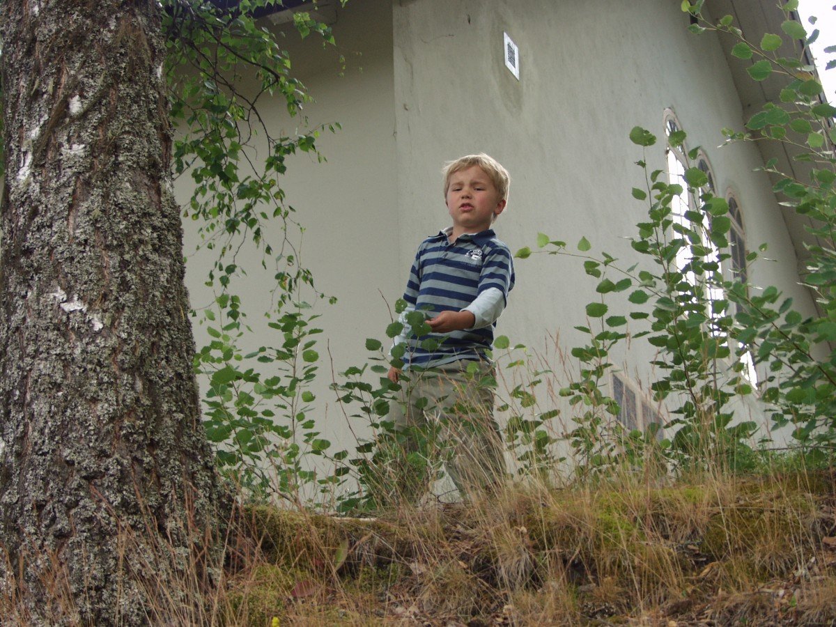 Industrial Heritage at Furudals bruk