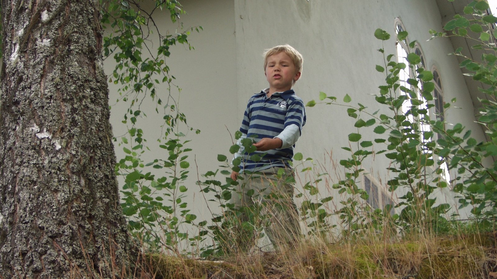 Industrial Heritage at Furudals bruk