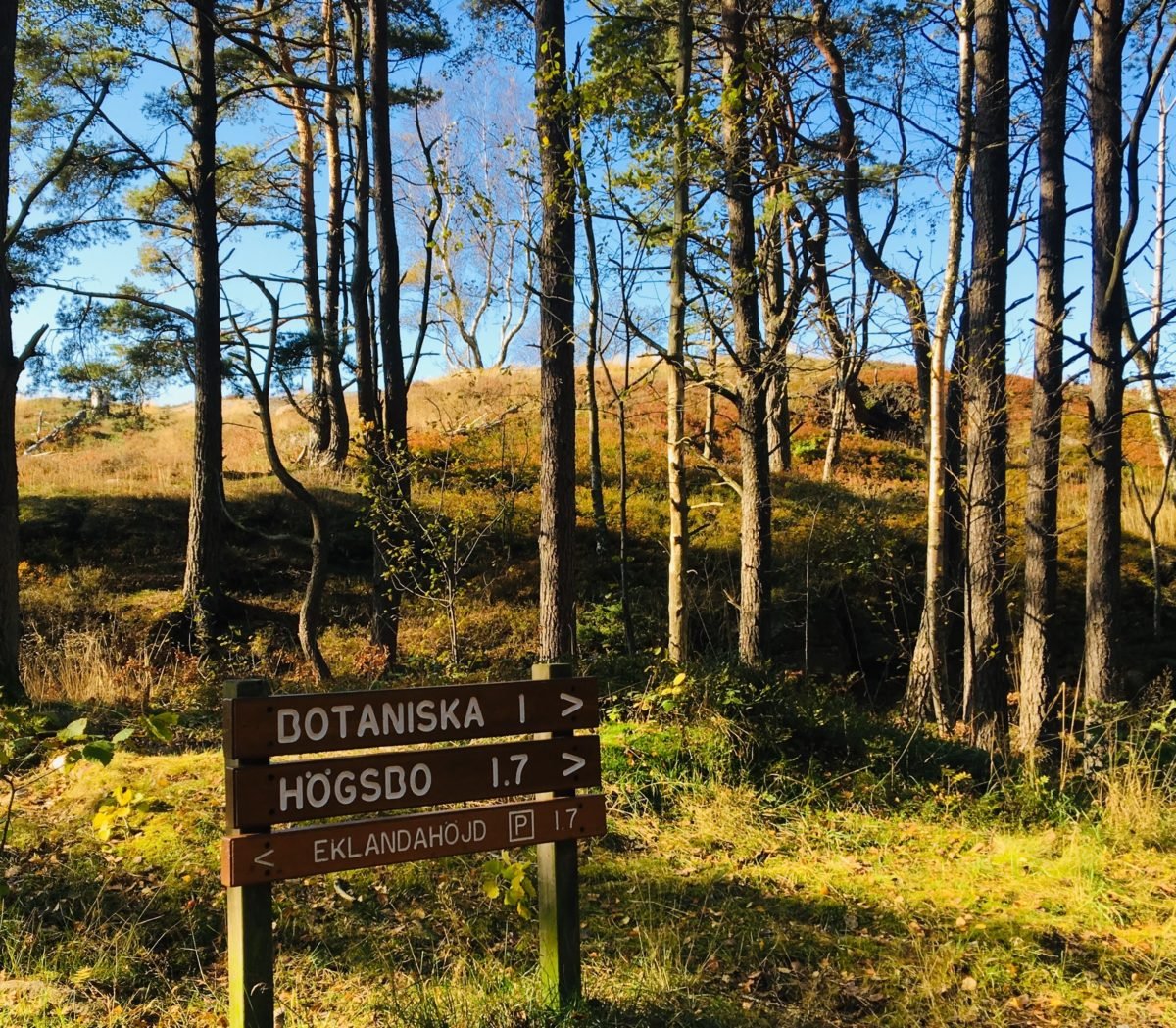 sightseeing Mölndal