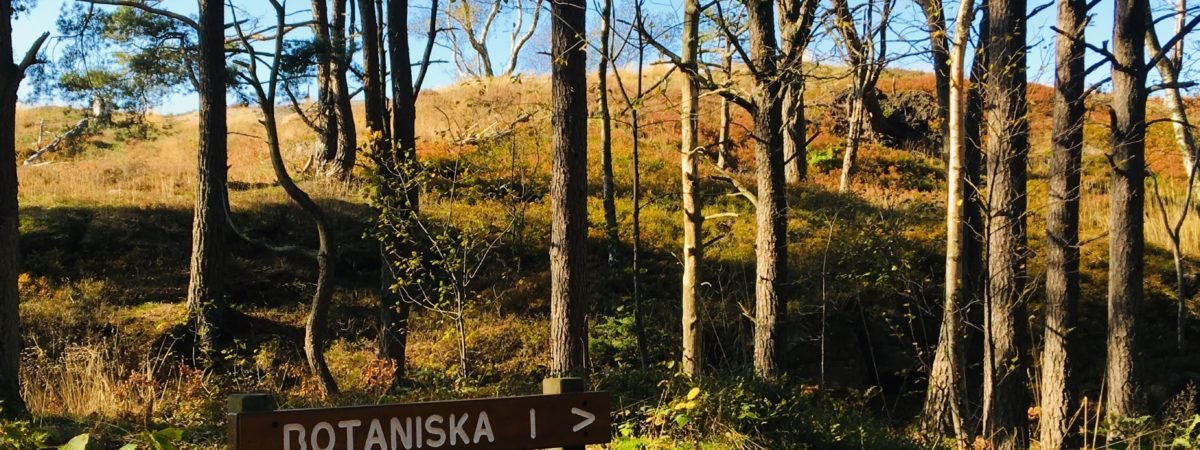 sightseeing Mölndal