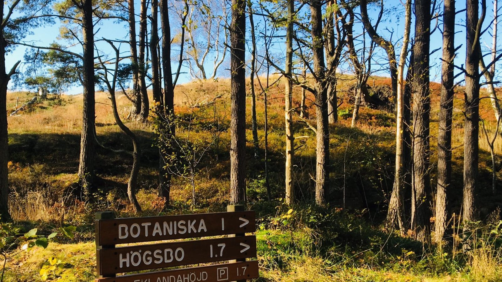 sightseeing Mölndal