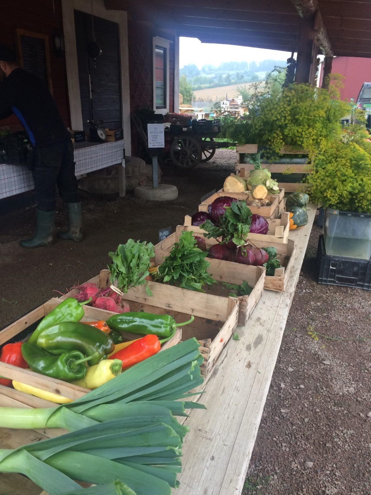Local delicacies specialties Lake Vättern