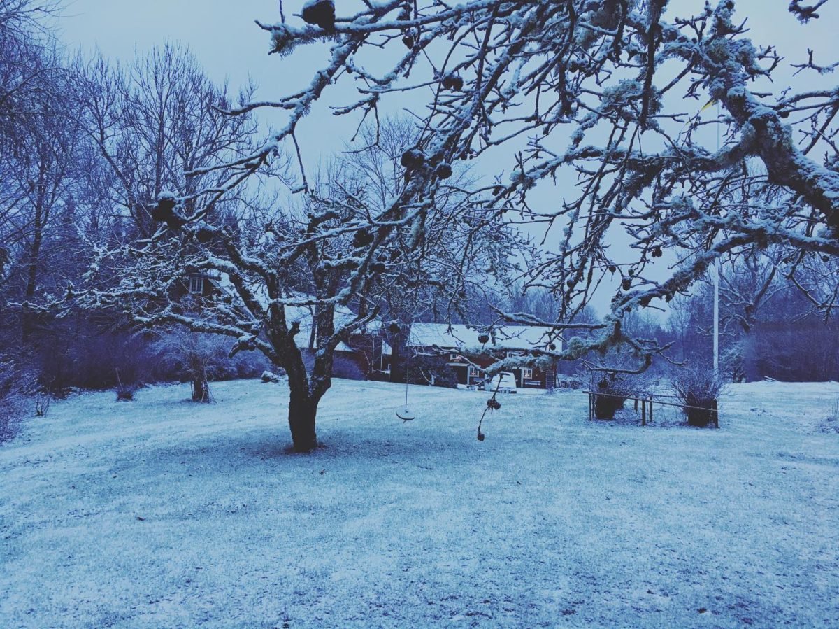 sweden counttryside cafe winter