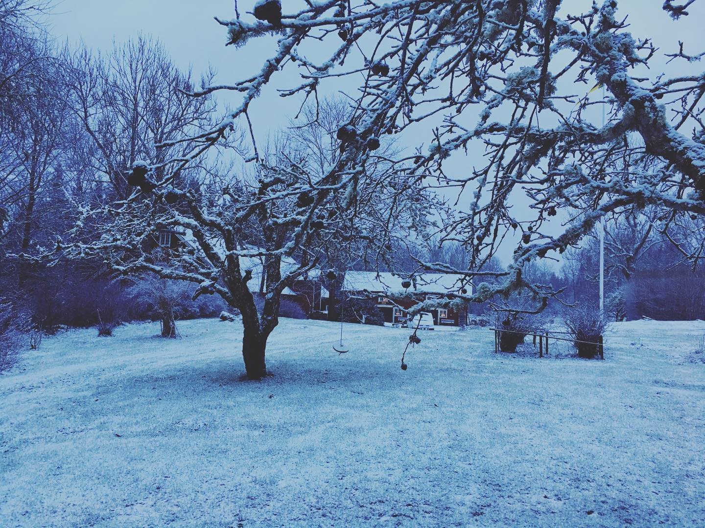 sweden counttryside cafe winter