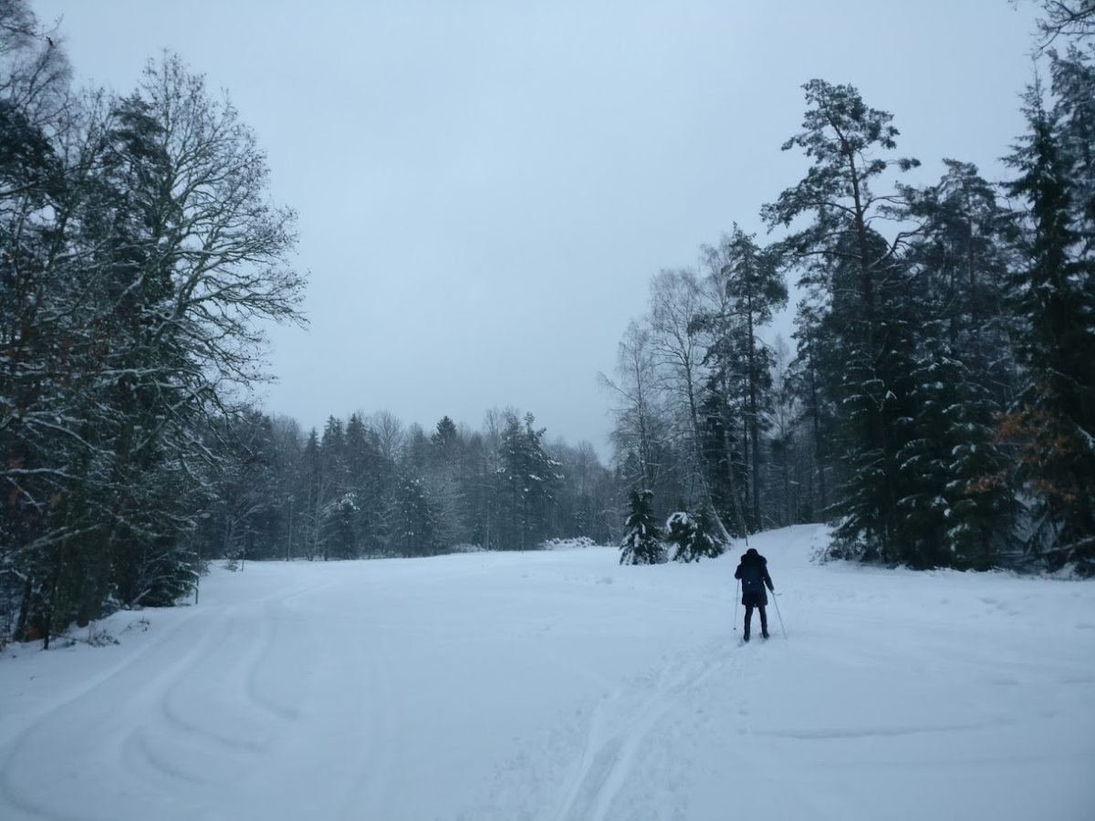 sweden skiing winter outdoor sustainability green