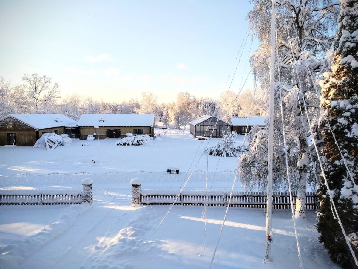 greenhouse snow aquaponics
