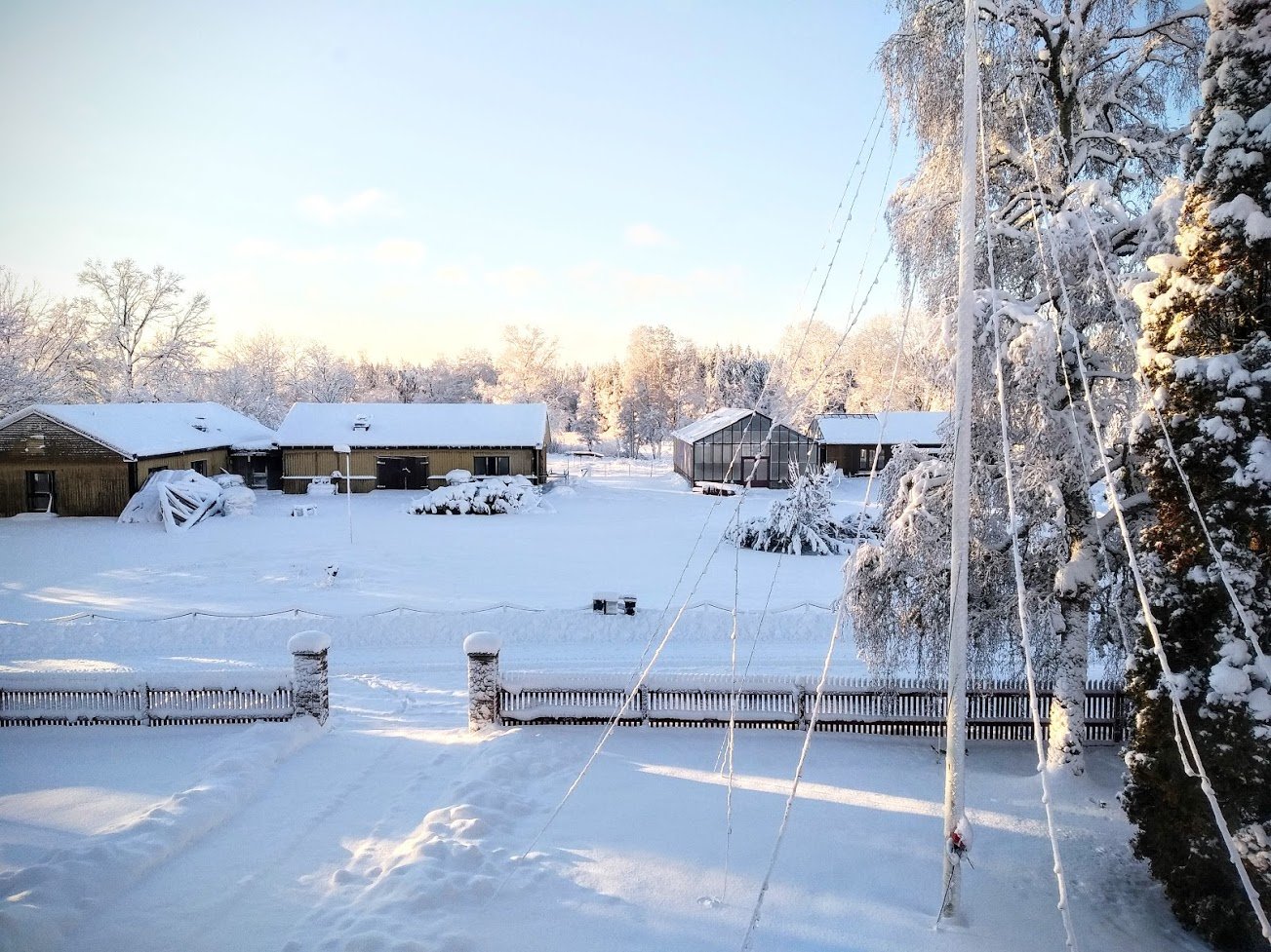 skating snow lake winter wonderland