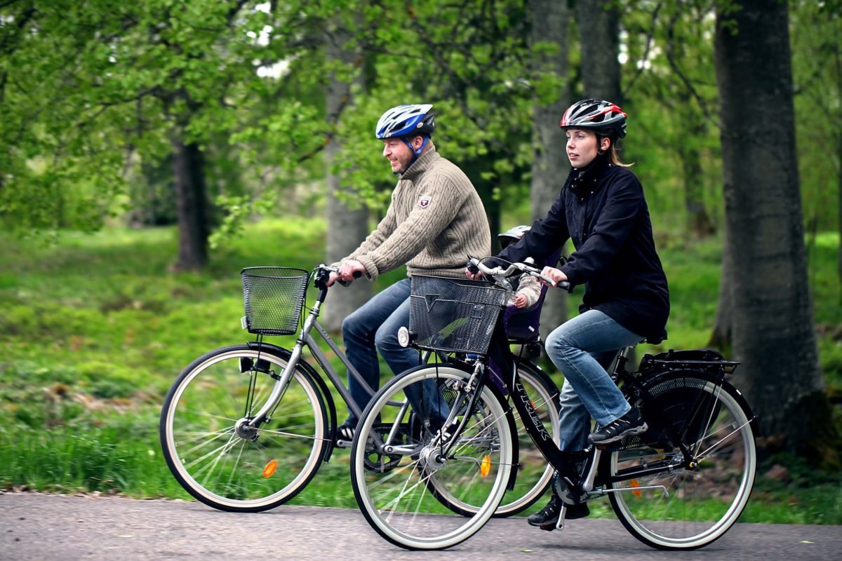Cycling nature sweden bike