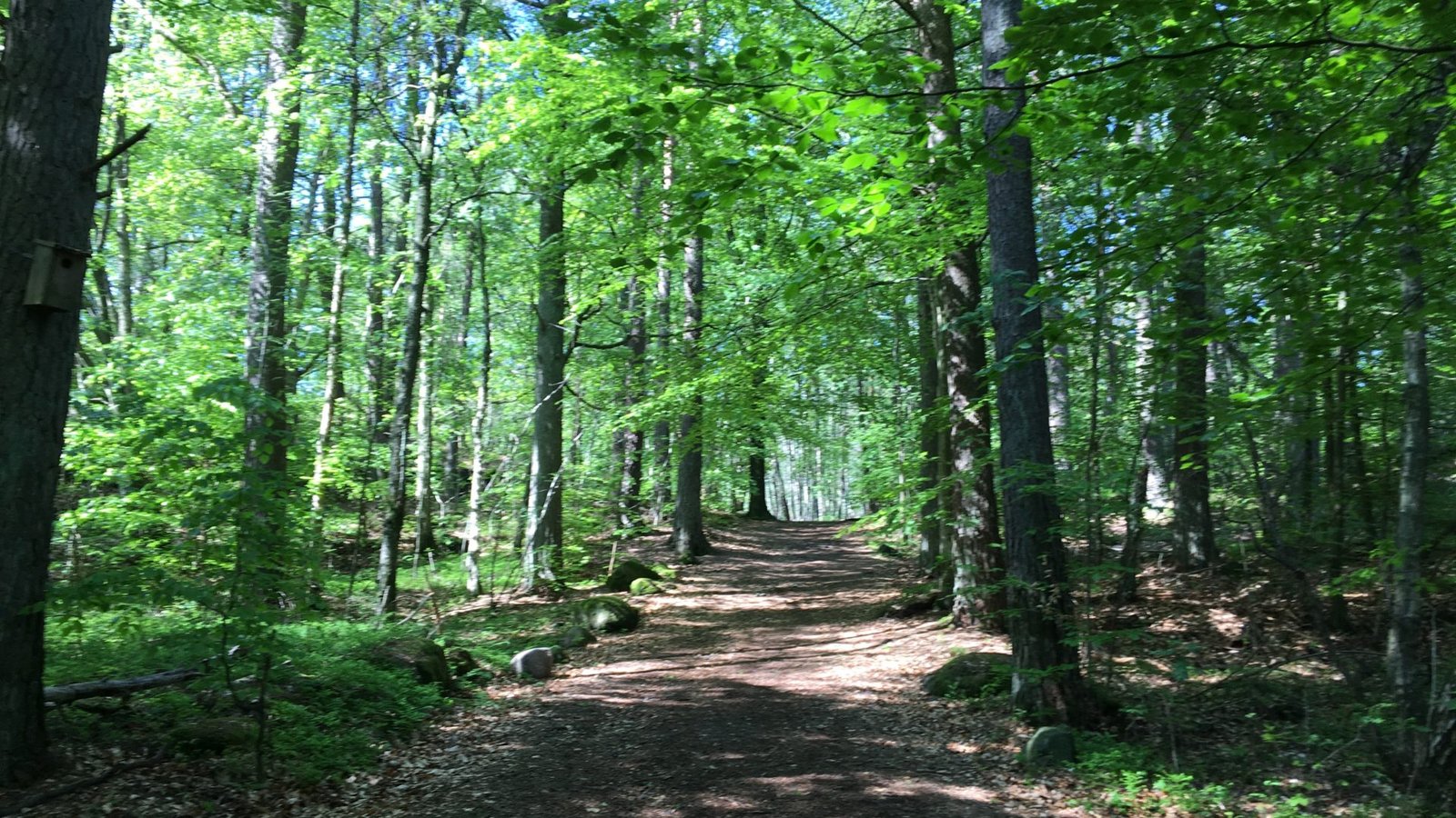 Do outdoor in Mölndal