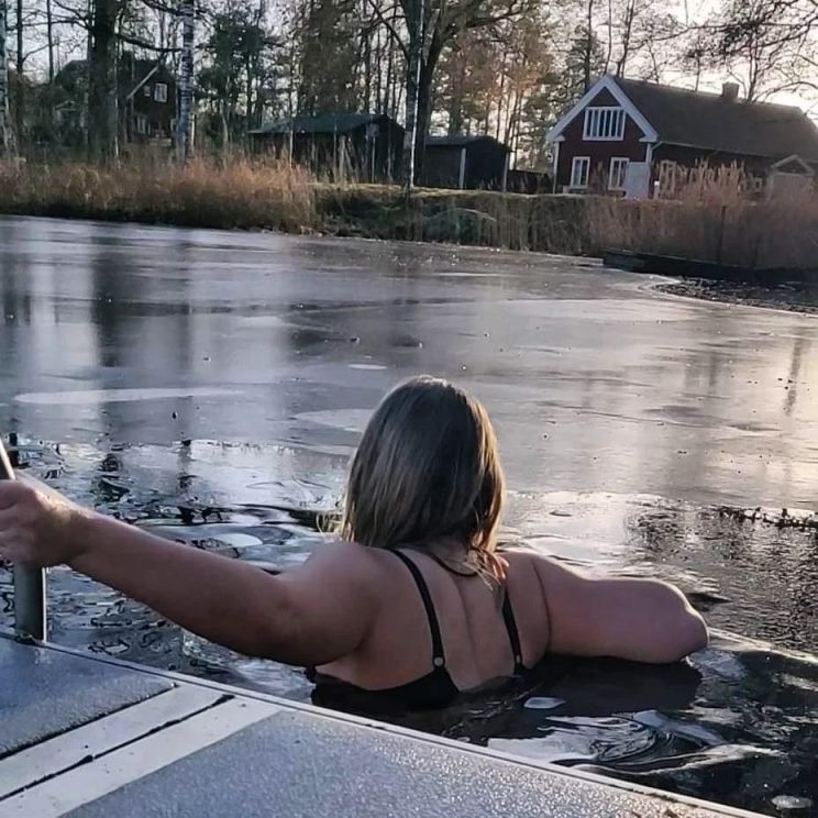 Sweden in winter