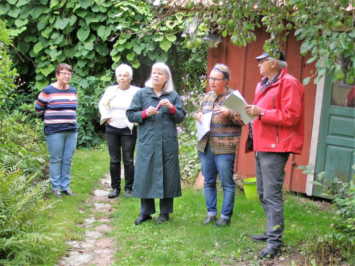 swedish genealogy guide