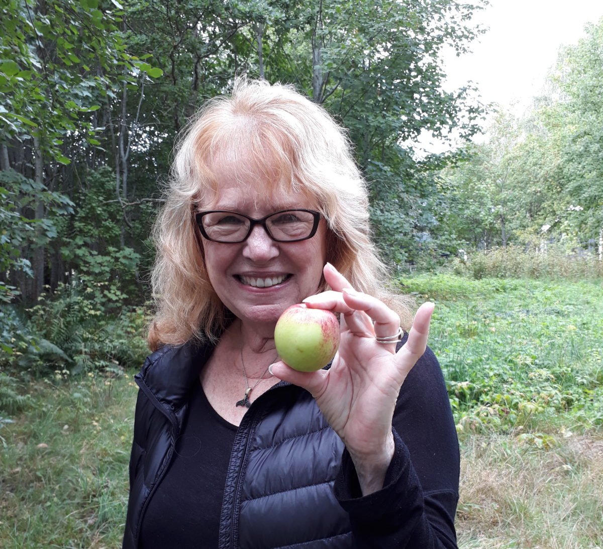 genealogy sweden ancestry