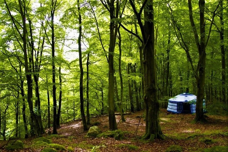 farm glamping sweden