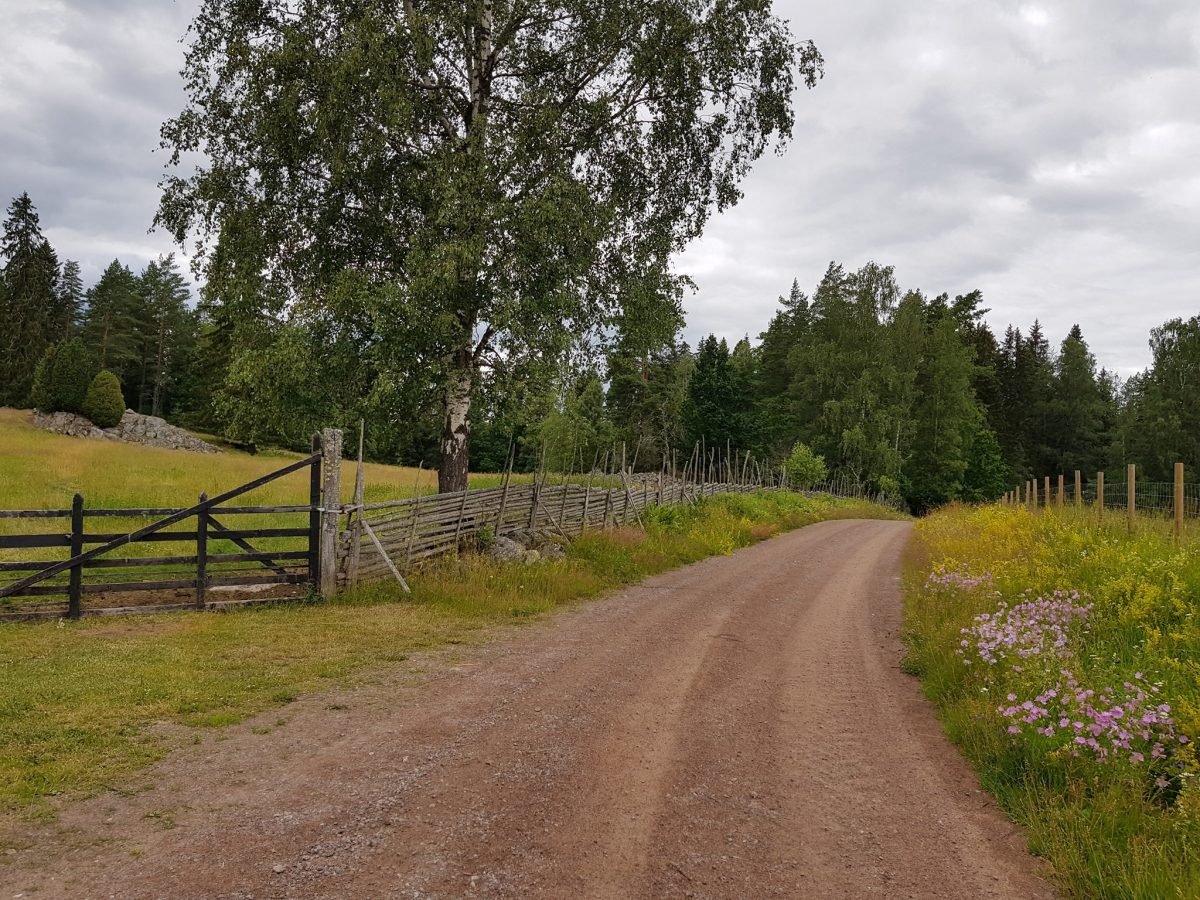 biking sweden