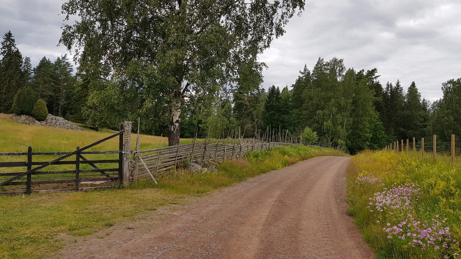 biking sweden