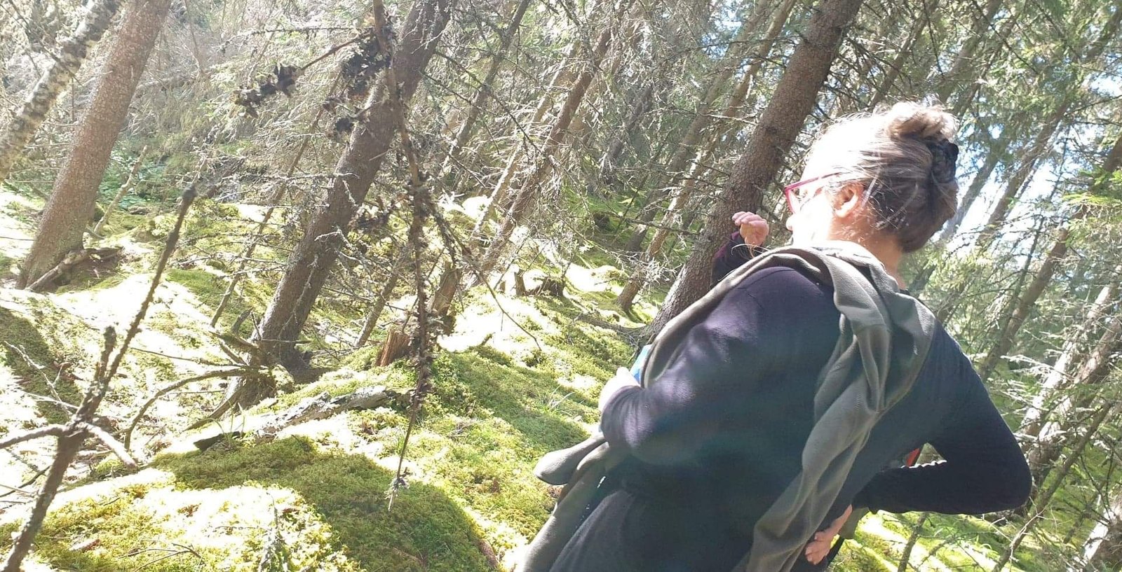 Bosque virgen en Suecia