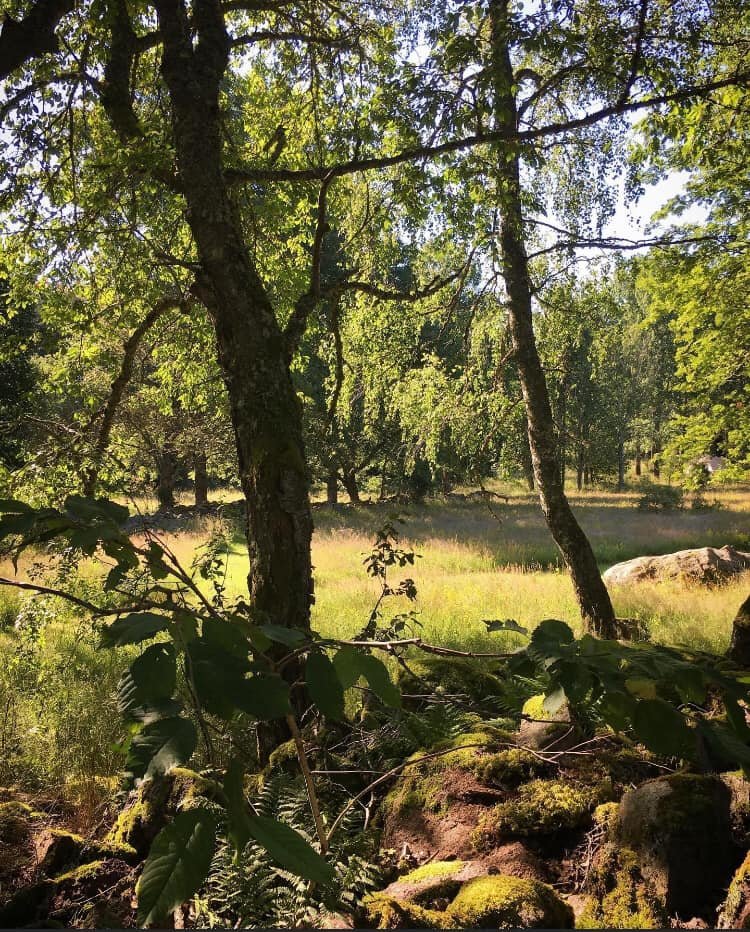 Boule in the South Sweden 