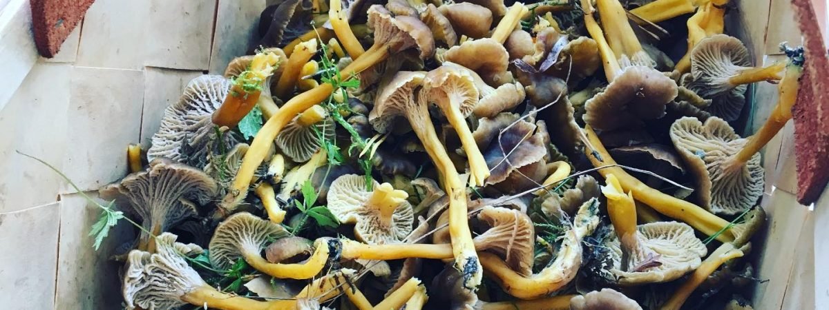 Suecia y su gastronomia local