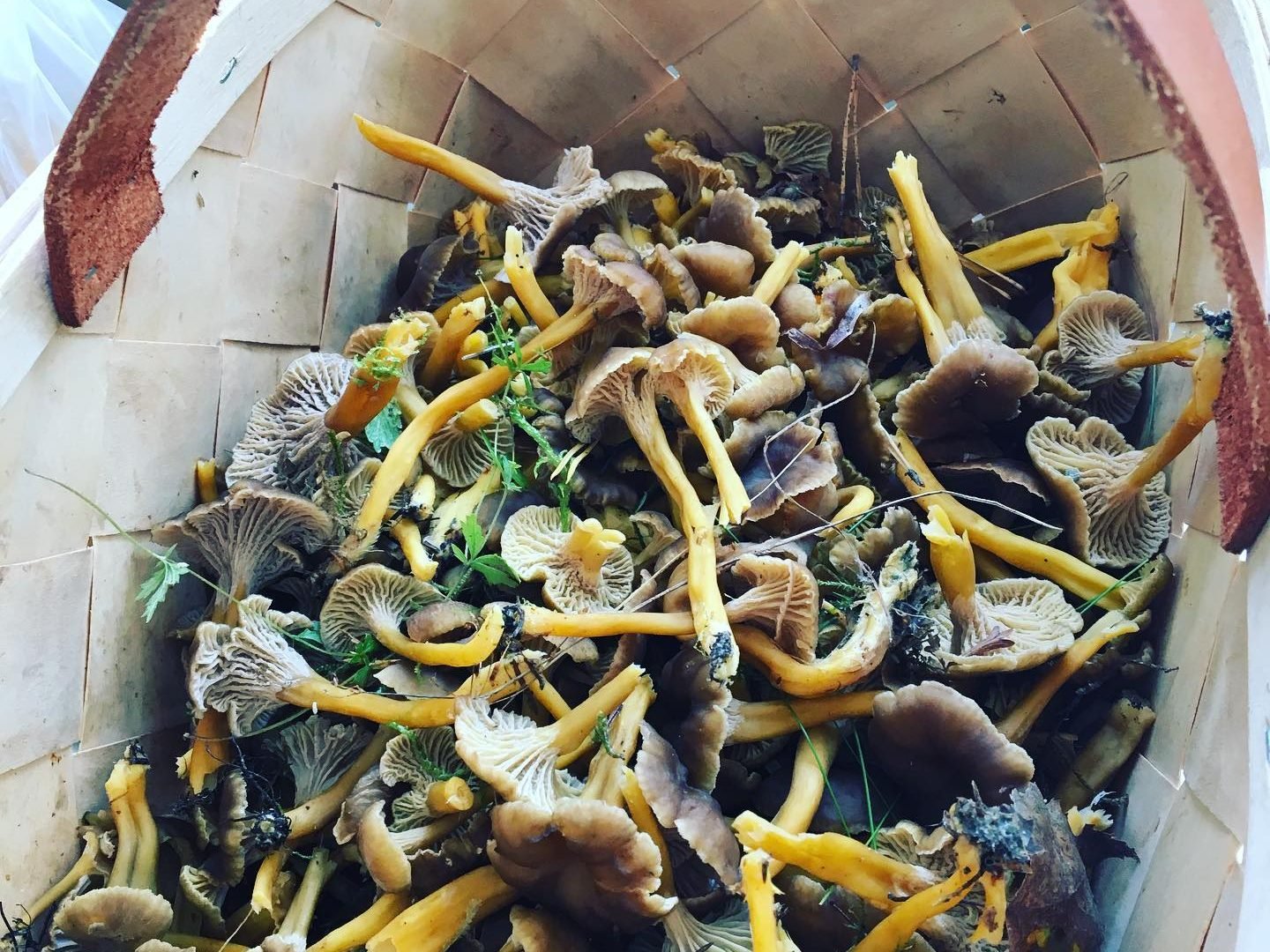 Suecia y su gastronomia local