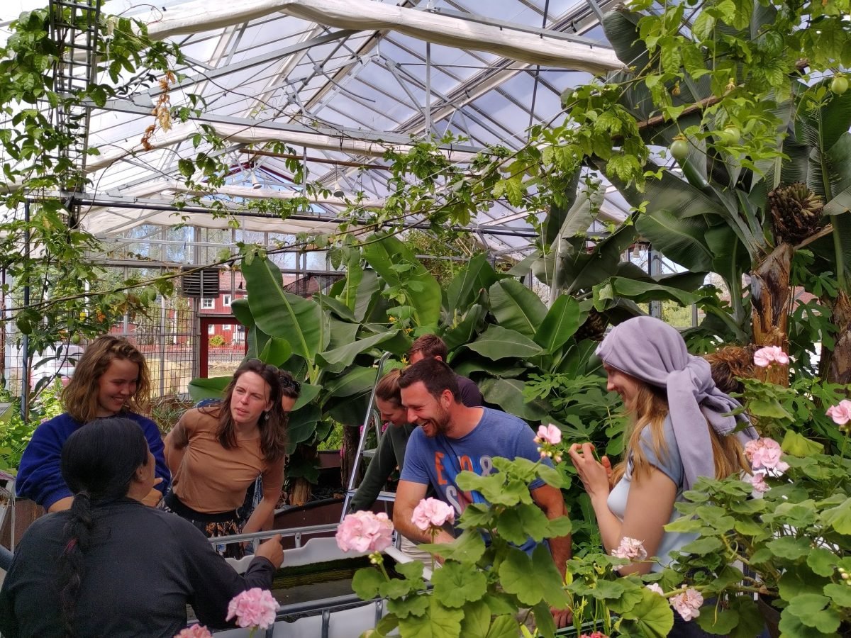 Green transition initatives Sweden