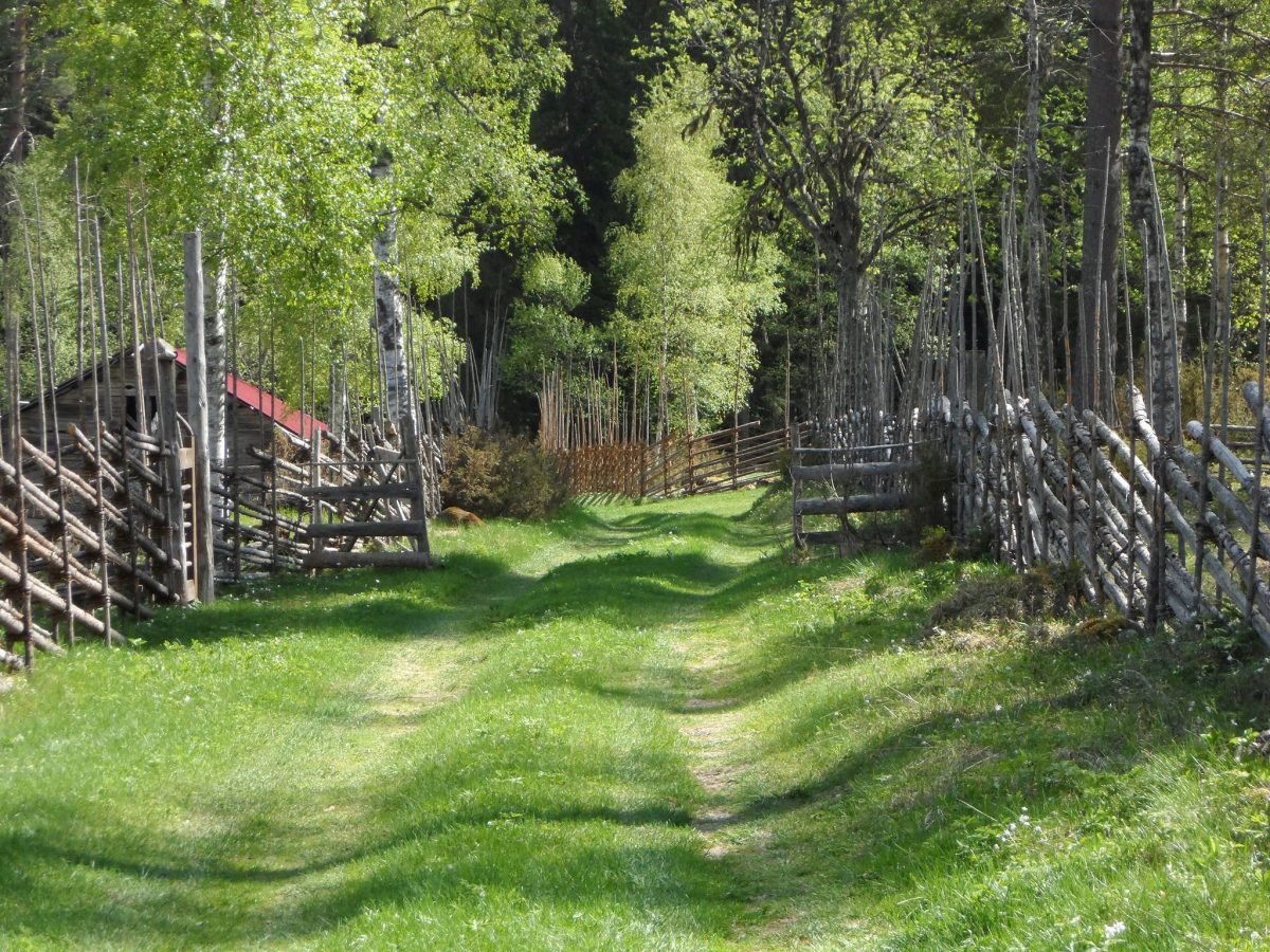 Detour roadtrip Road E45 Sweden