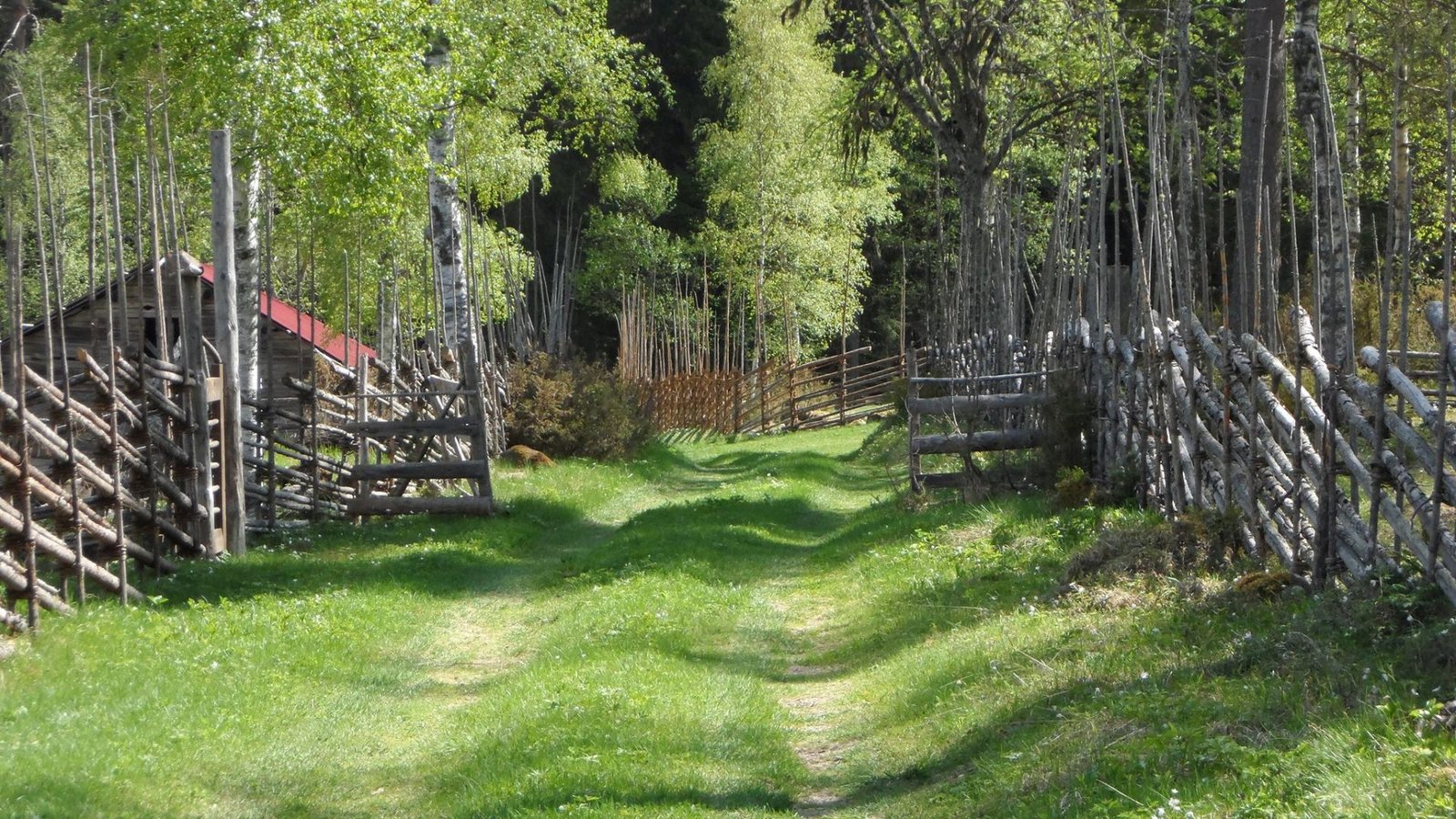 Detour roadtrip Road E45 Sweden